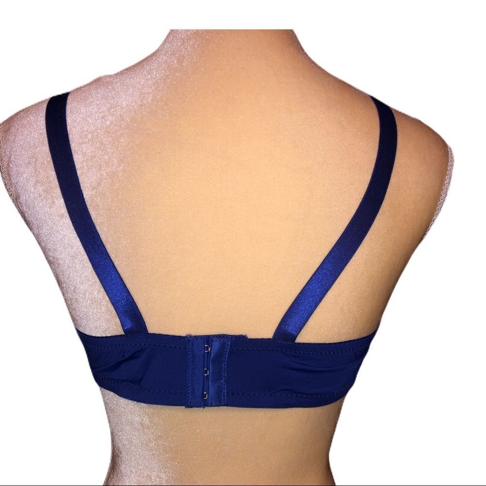 Emily Johnson pretty blue bra nwt - Picture 3 of 6